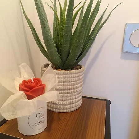 Apartment Le Cocoon Secret Coublevie