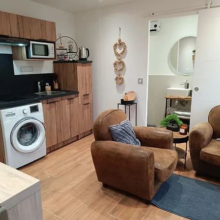 Apartment Le Cocoon Secret Coublevie